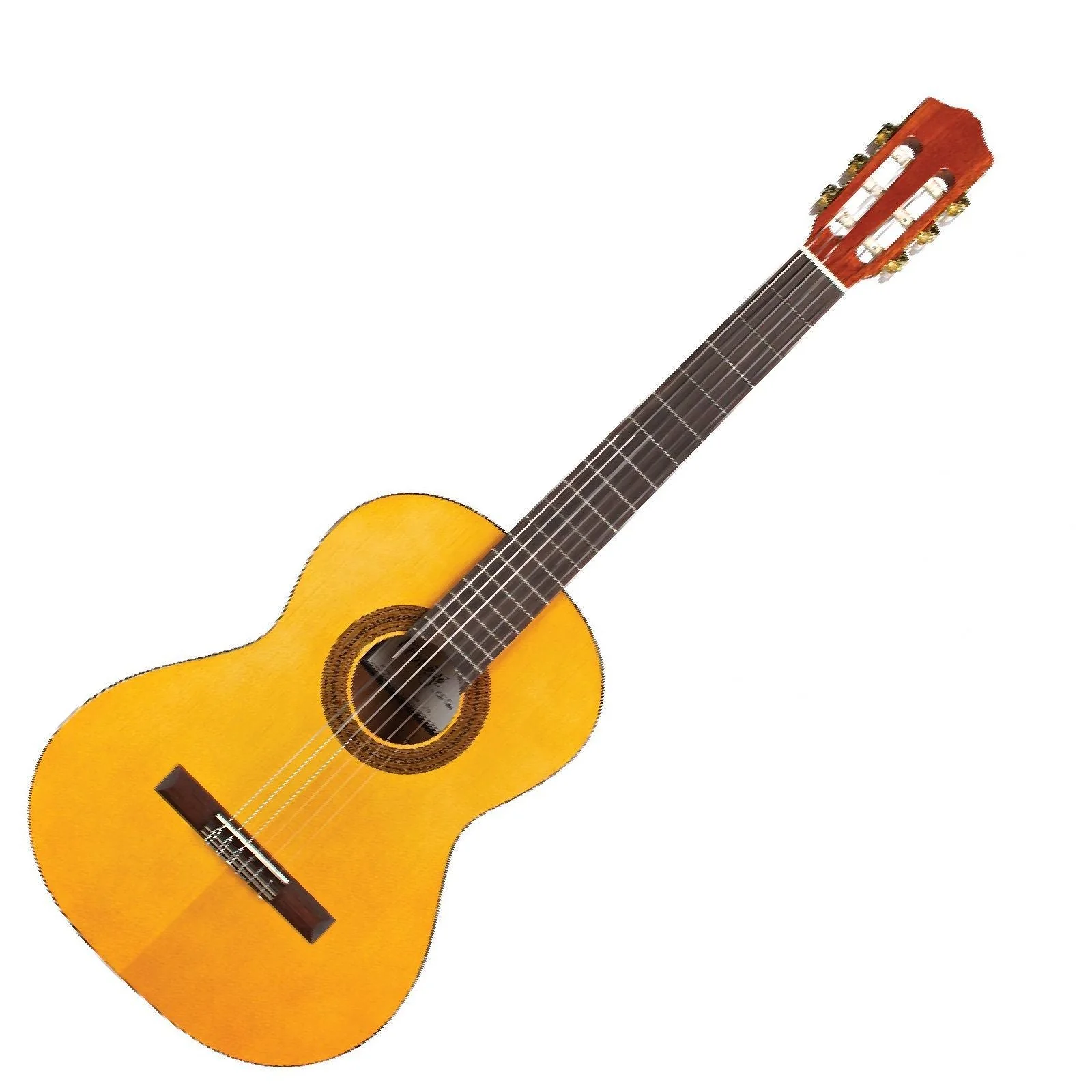 Cordoba Protege C1 34 Classical Nylon String Acoustic Guitar with Gig Bag