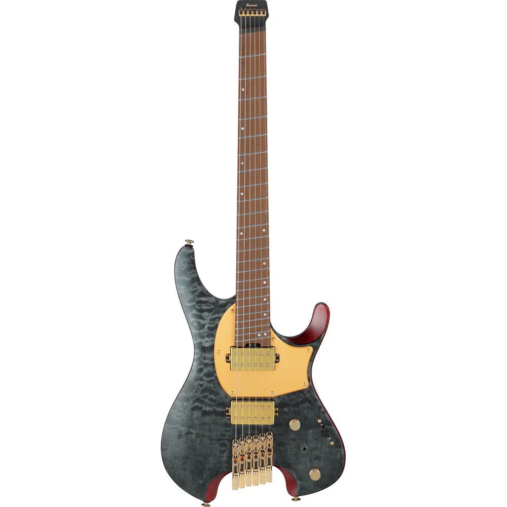 Ibanez MGMFM10 Manual Gardner Signature Guitar (Obsidian Black Low Gloss)