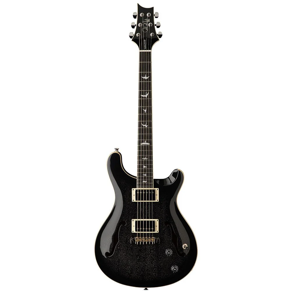 PRS SE Hollowbody Standard (Dog Hair Smokeburst) inc Hardshell Case